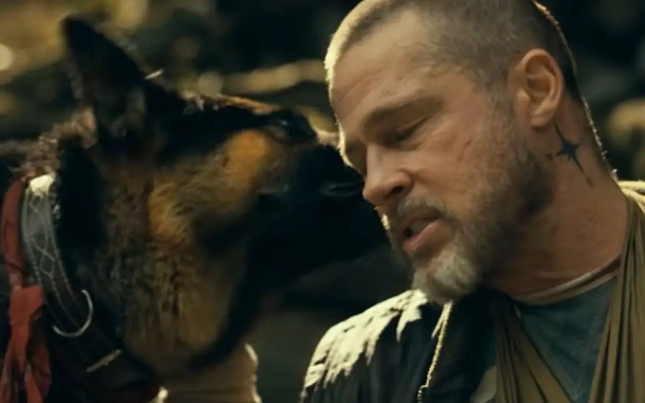 Brad Pitt novi film "Heart of the beast" "Heart of the beast": Brad Pitt i pas u borbi za opstanak u surovoj Aljasci
