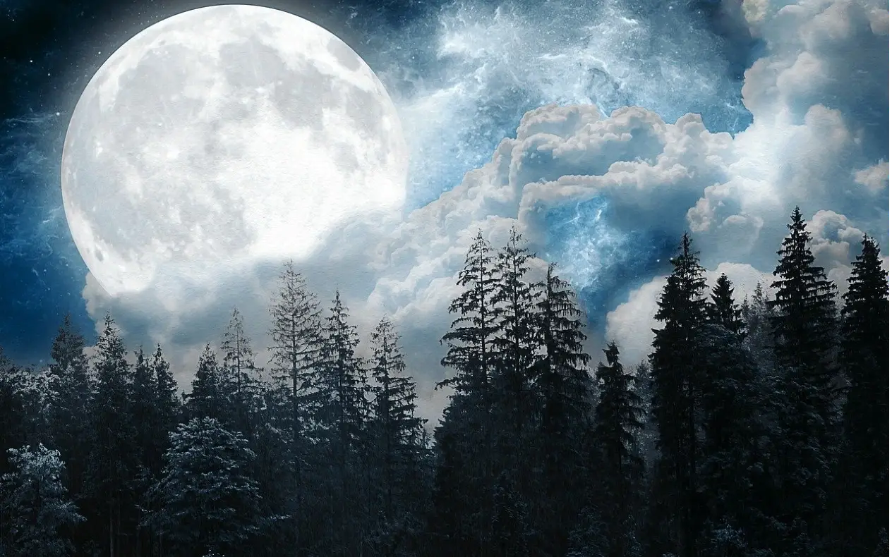 Dnevni horoskop za 5. februar 2025.godine!