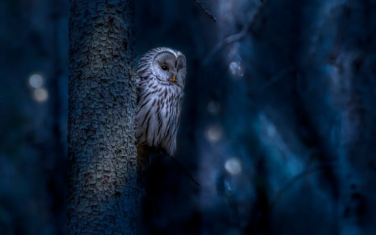 Dnevni horoskop za 24. januar 2025.godine!