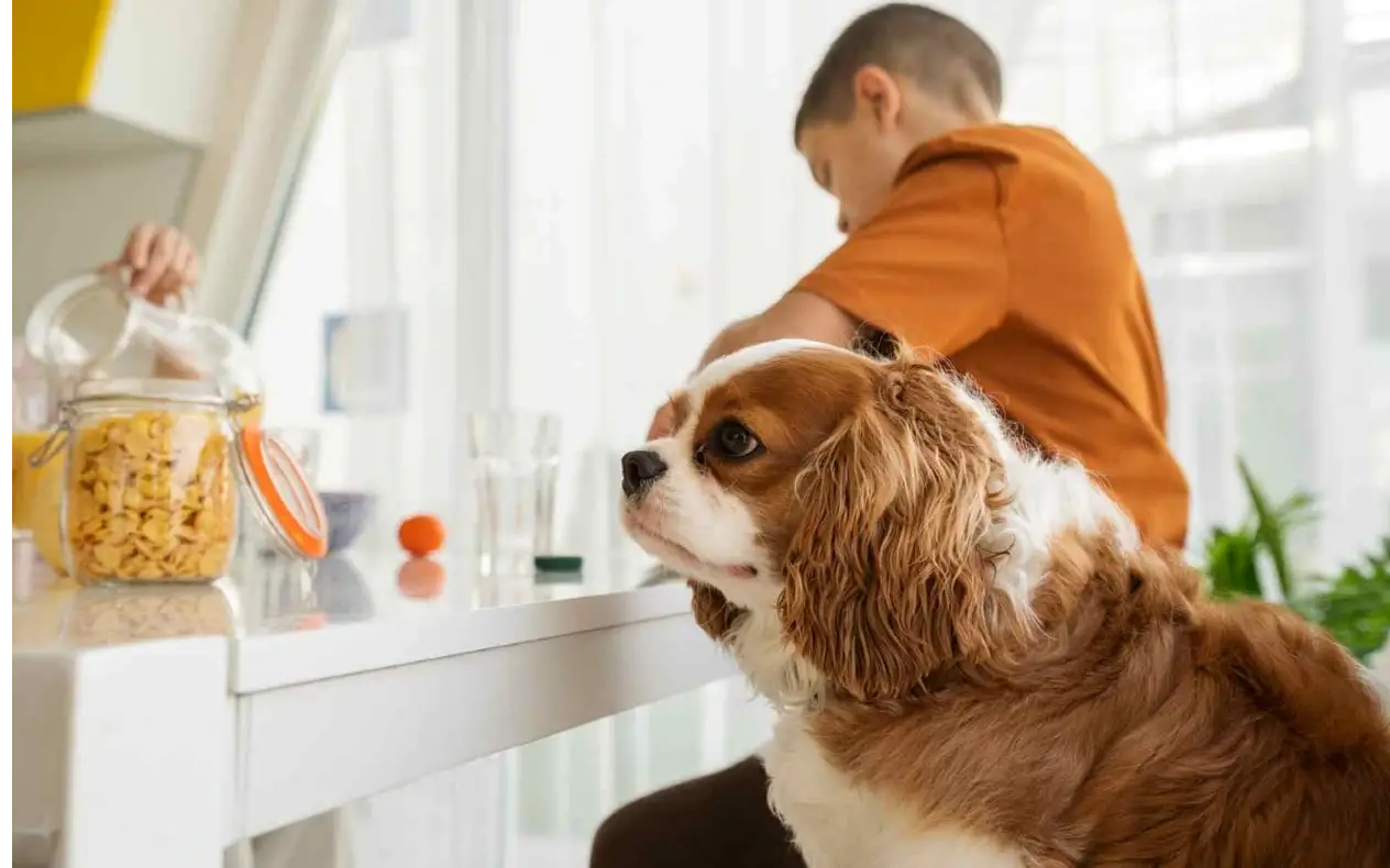 zašto sam odbio da pravim “svoj brend” iako bih mogao da čitavo bogatstvo