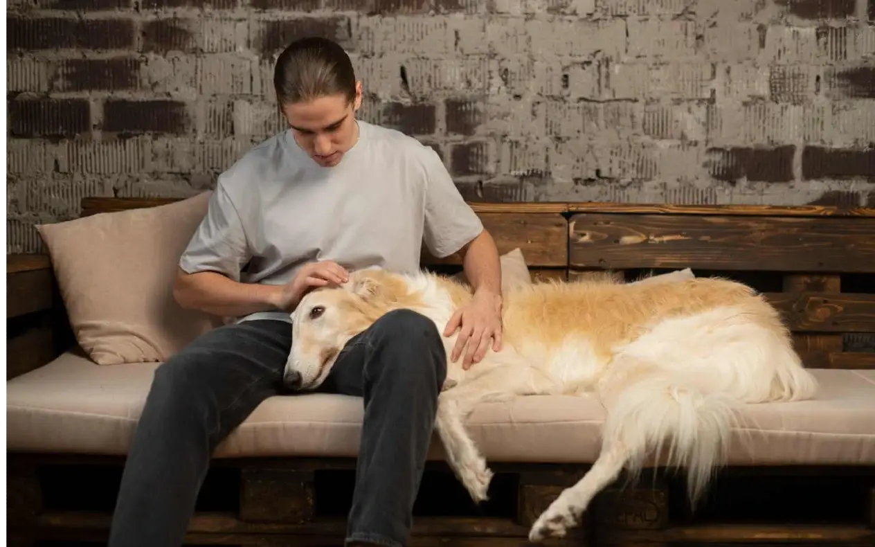  Kolektivni PTSP nam već kuca na vrata