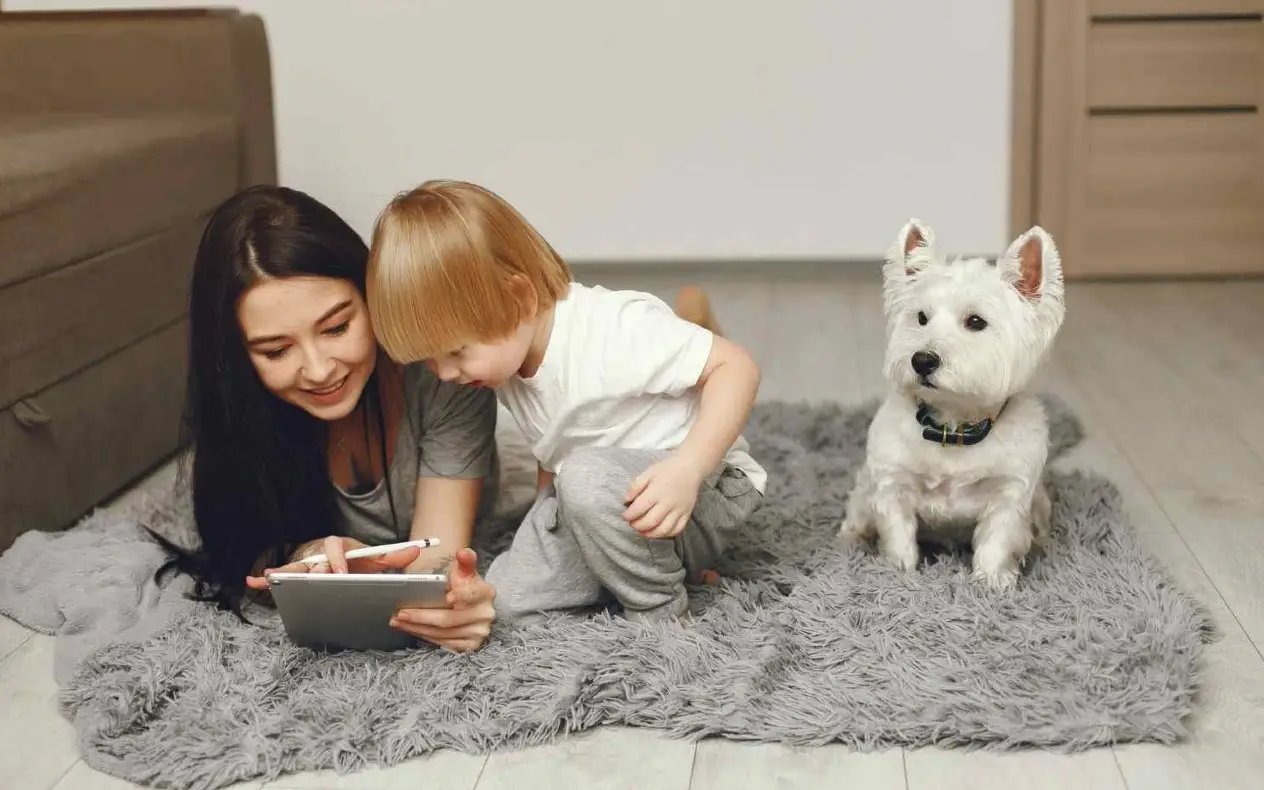 Dete, pas i porodica Kada dete dođe, pas izgubi svoje mesto i obično odlazi: O zakonu poretka u porodici i ceni koju plaćamo kada ga ne poštujemo