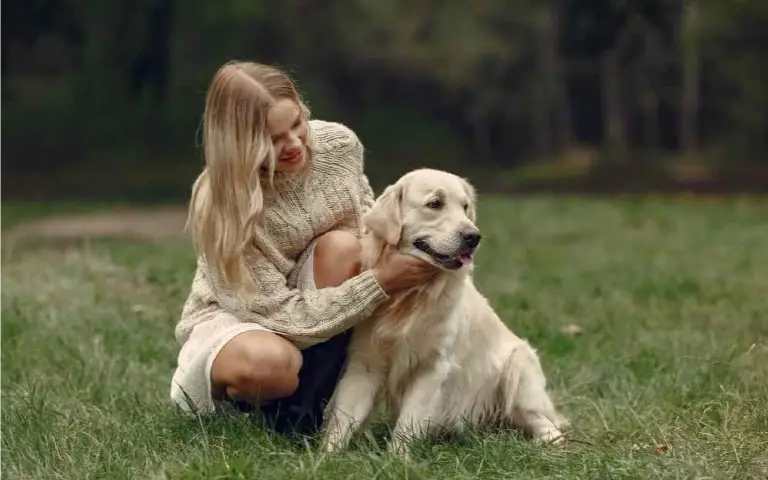 Žena i pas u prirodi Žena sa psom u prirodi pokušava da ga mazi