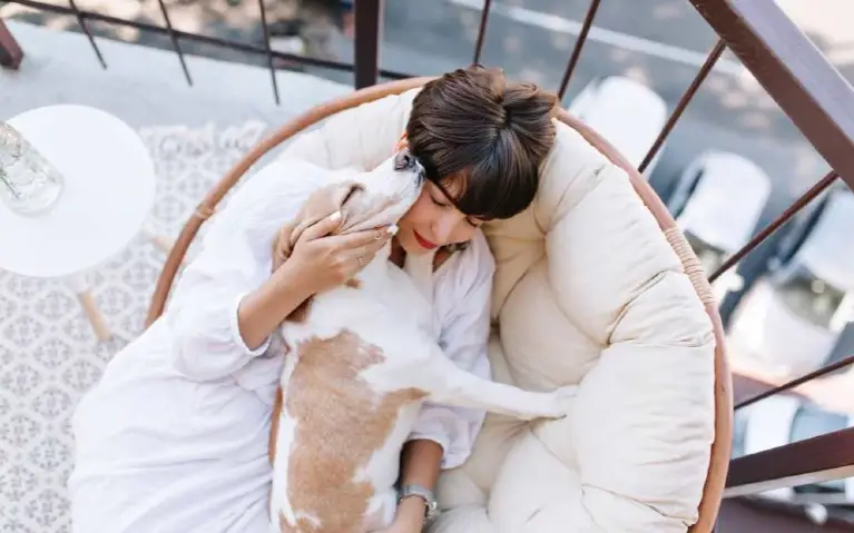 Pas i žena Žena sa psom