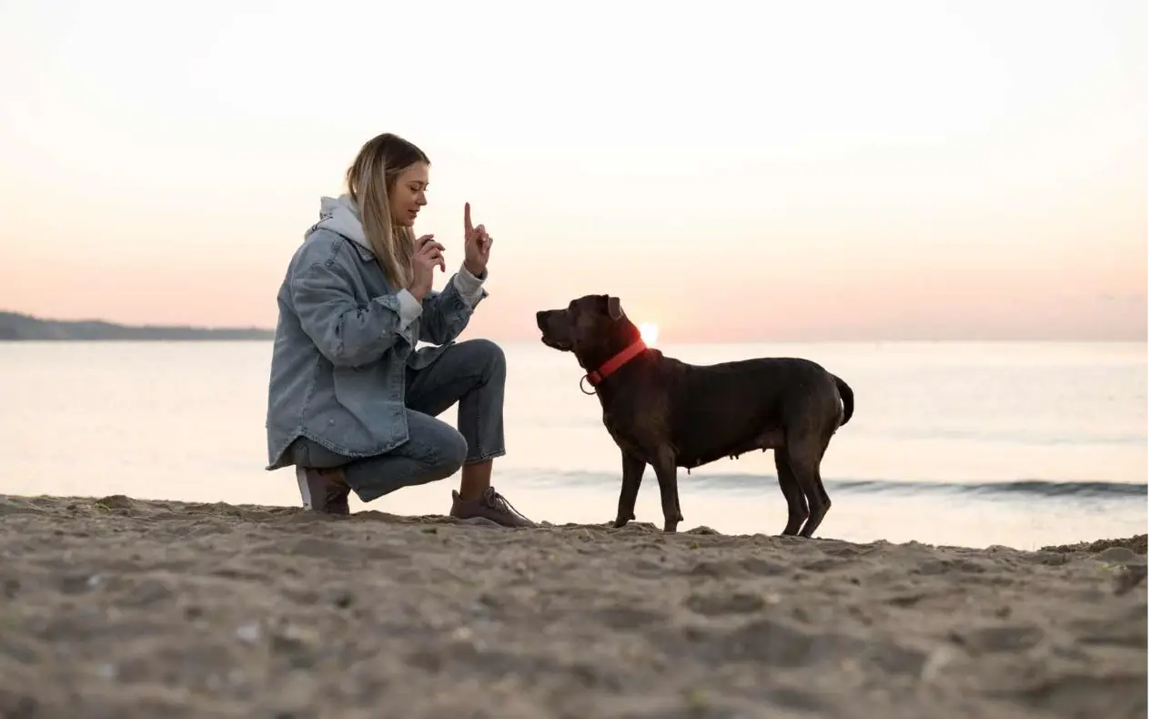 Pas i žena Pas i poverenje - ljubav, mir, tišina