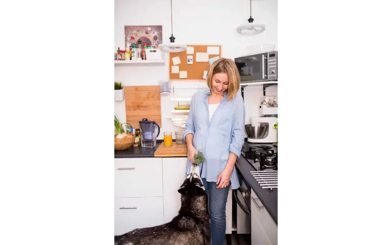 Kuvana hrana ne znači najbolje za psa