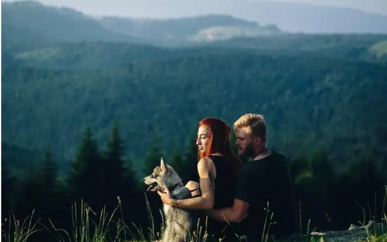 Pas sa bračnim parom Bračni par sa psom na planini