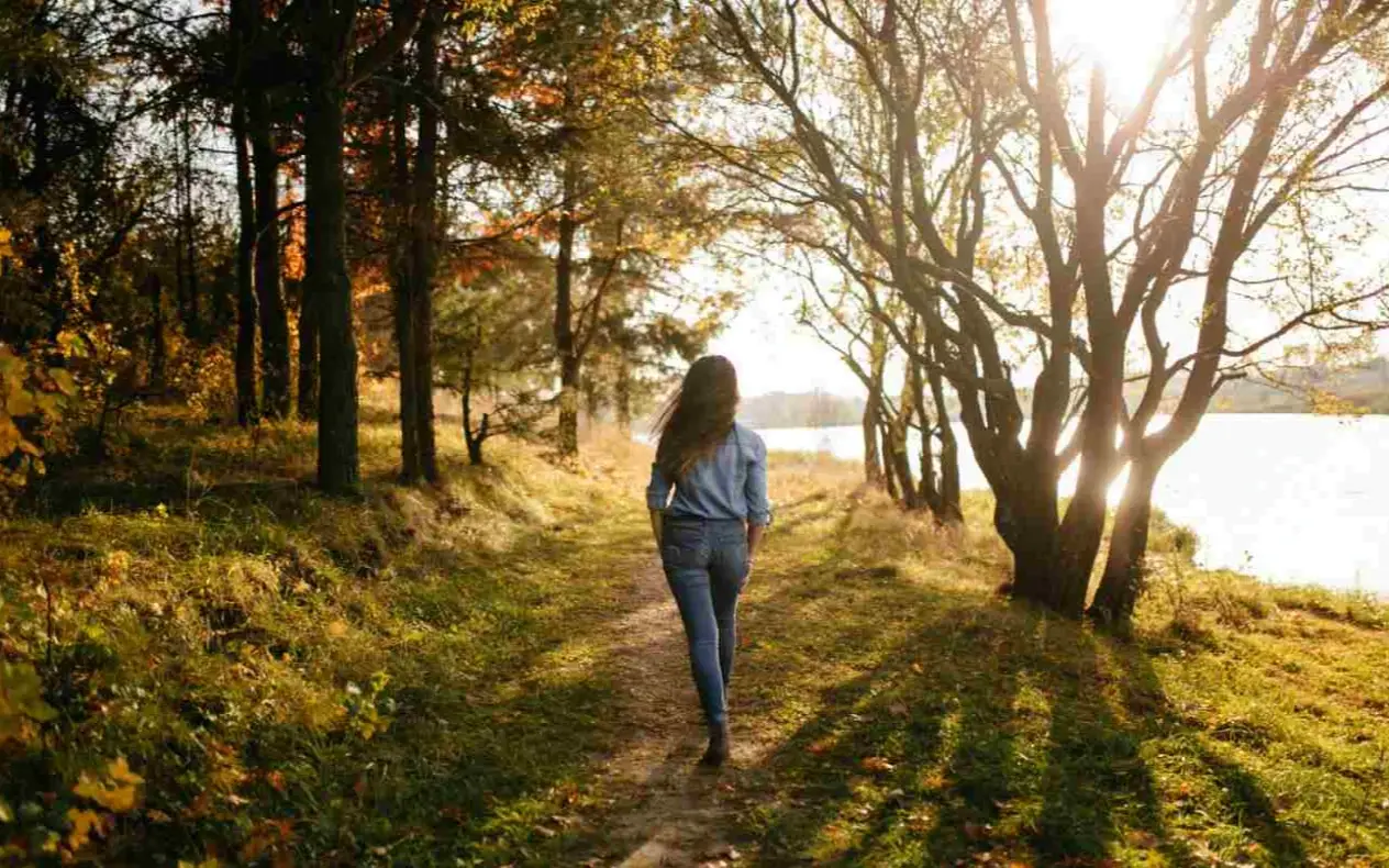 Šetnja kroz šumu i parkove