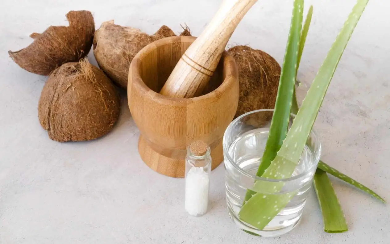 Prirodna ulja Prirodna ulja za hidrataciju suve kože: aloe vera gel, kokosovo ulje i jojoba ulje na stolu