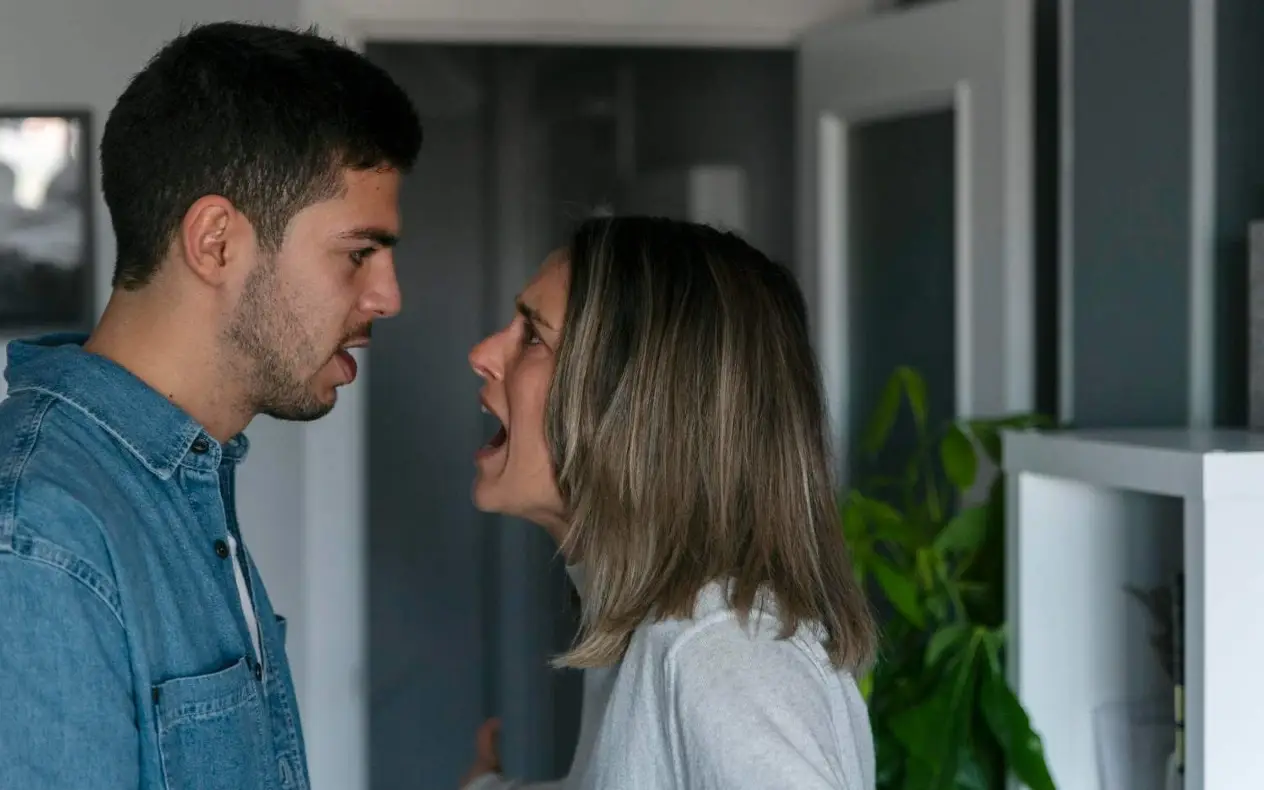 Par koji se svađa u dnevnoj sobi ili apartmanu