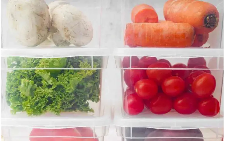 Namirnice i frižider Frižider i namirnice