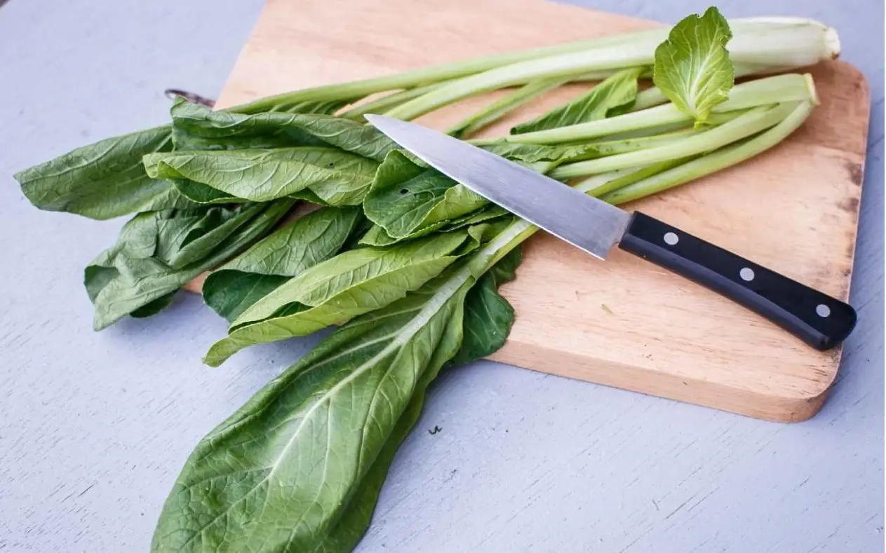 Sveža blitva Sveža blitva na kuhinjskom stolu, spremna za pripremu zdravog zimskog obroka.