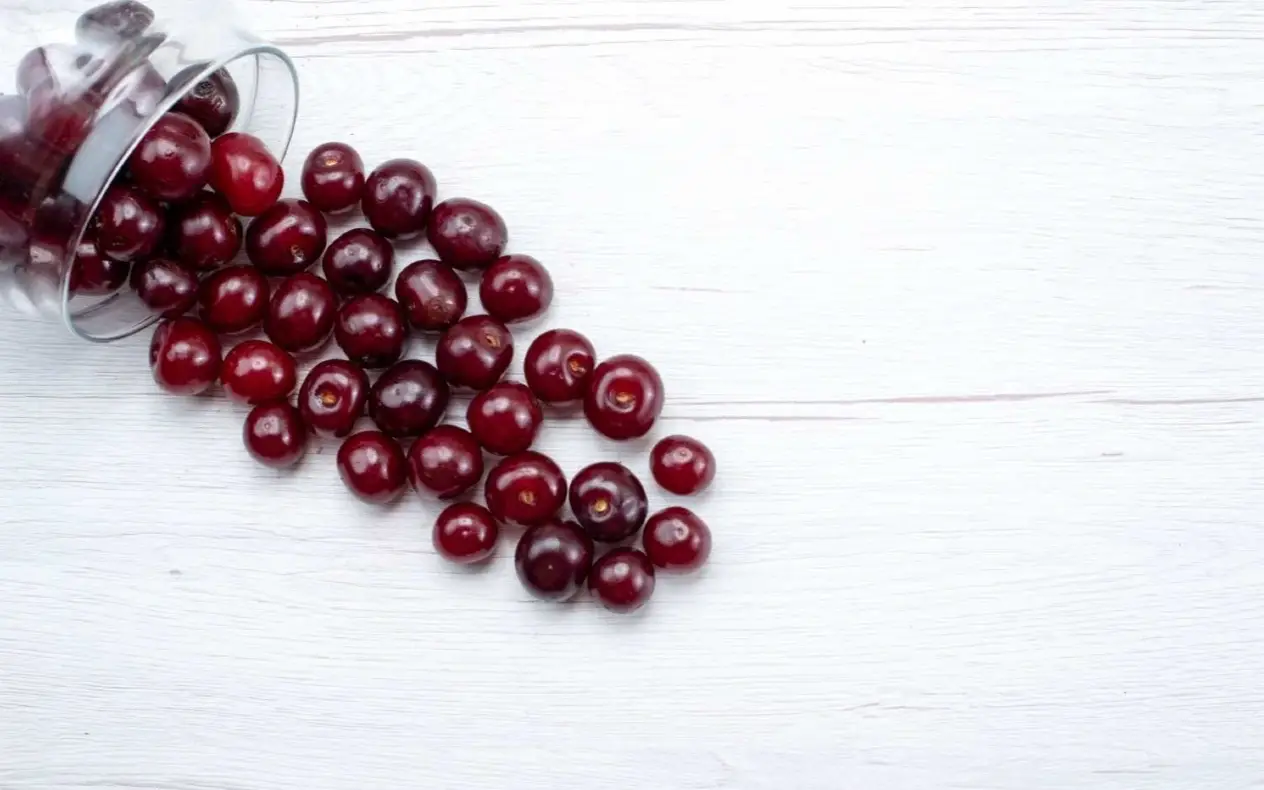 Brusnica - prirodni lek za prehladu