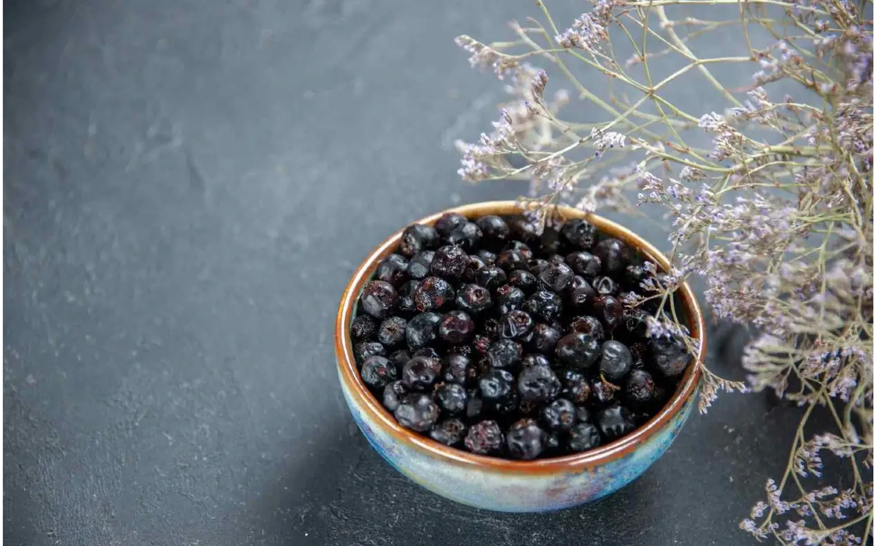 Brusnica u tanjiru Crna aronija u služni zdravlja i pomaže za jačanje imunuteta