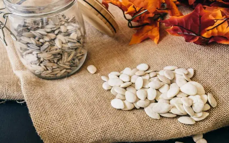 Semenke od bundeve Nutritivno dejstvo semenke od bundeve