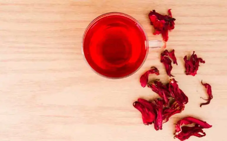 Čaj od hibiskusa Hibiskus u šolji od čaja