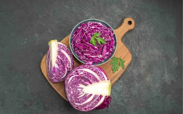 Zdravlje, imunitet i probava