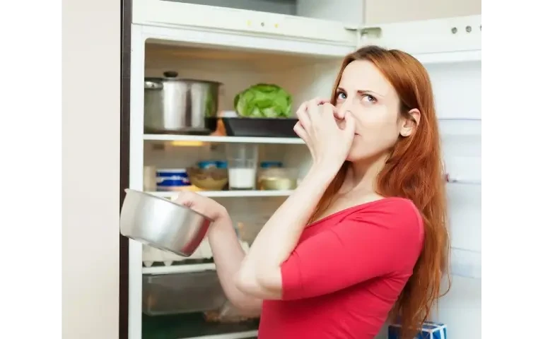 Namirnice pokvarene Pokvarene namirnice