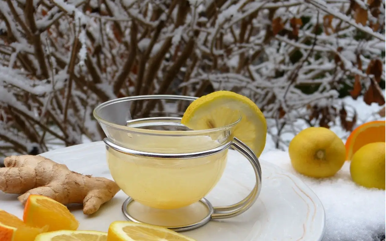 Na slici je šolja čaja s kriškama limuna, đumbira i citrusa, postavljena na snežnoj pozadini. Kako mogu da vam pomognem u vezi s ovom slikom?