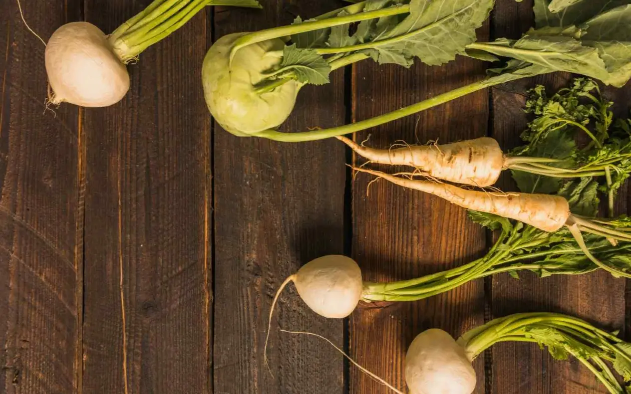 ren kao saveznik za jačanje imuniteta, disajne puteve i lepsu kožu