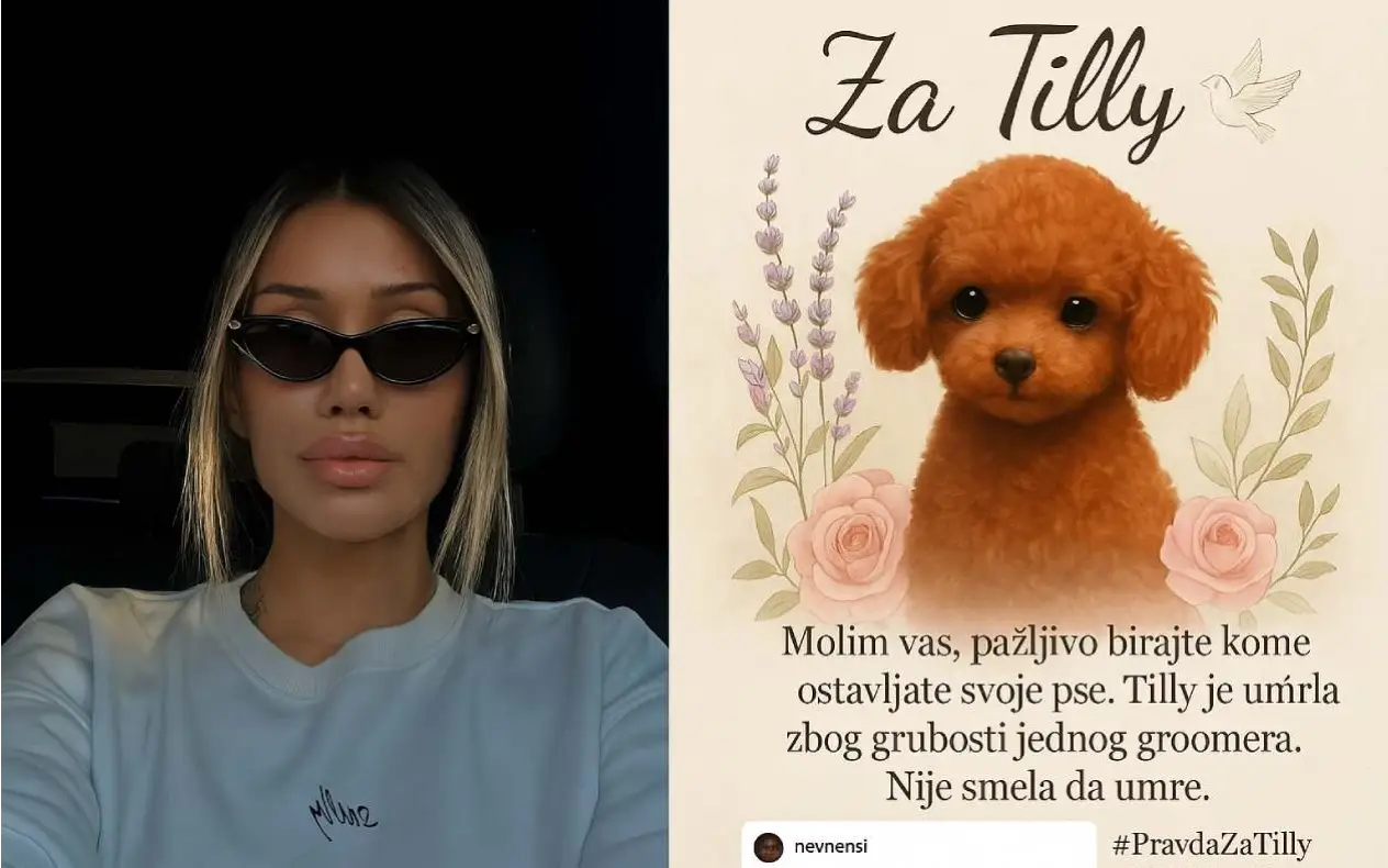 Apel Breskvice povodom smrti psa Tili