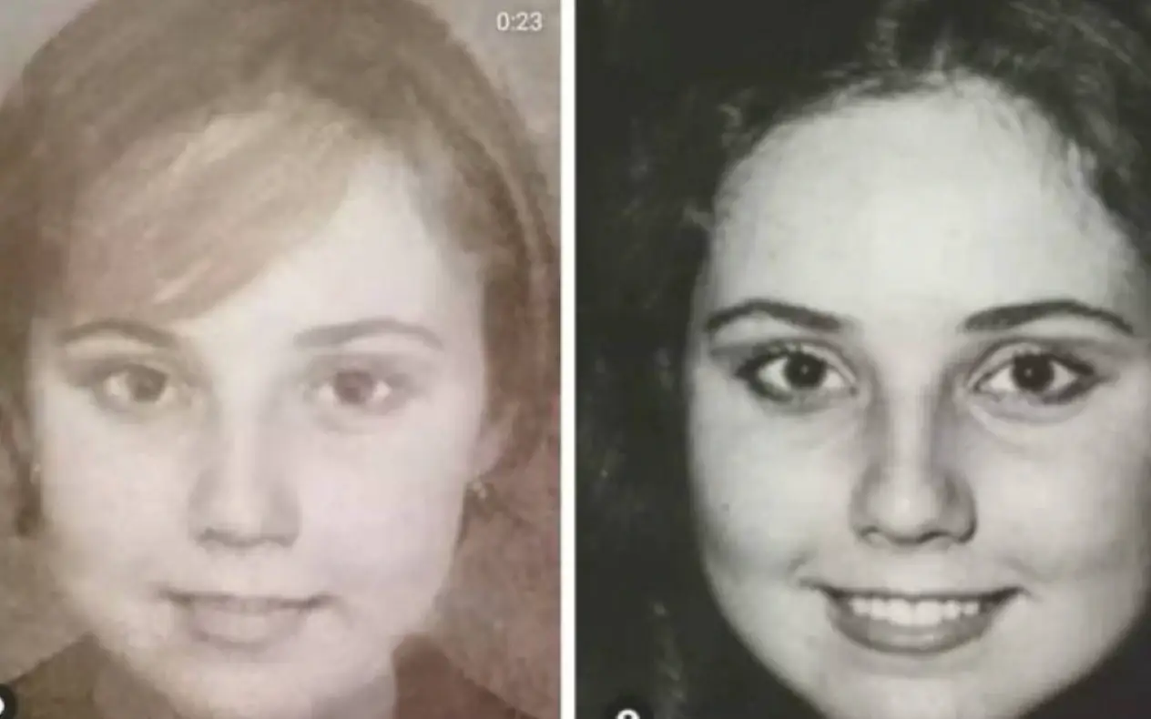 Lepa Brena Od ružnog pačeta do najveće zvezde na balkanu