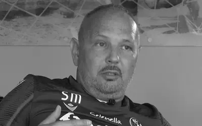 Siniša Mihajlović u dresu