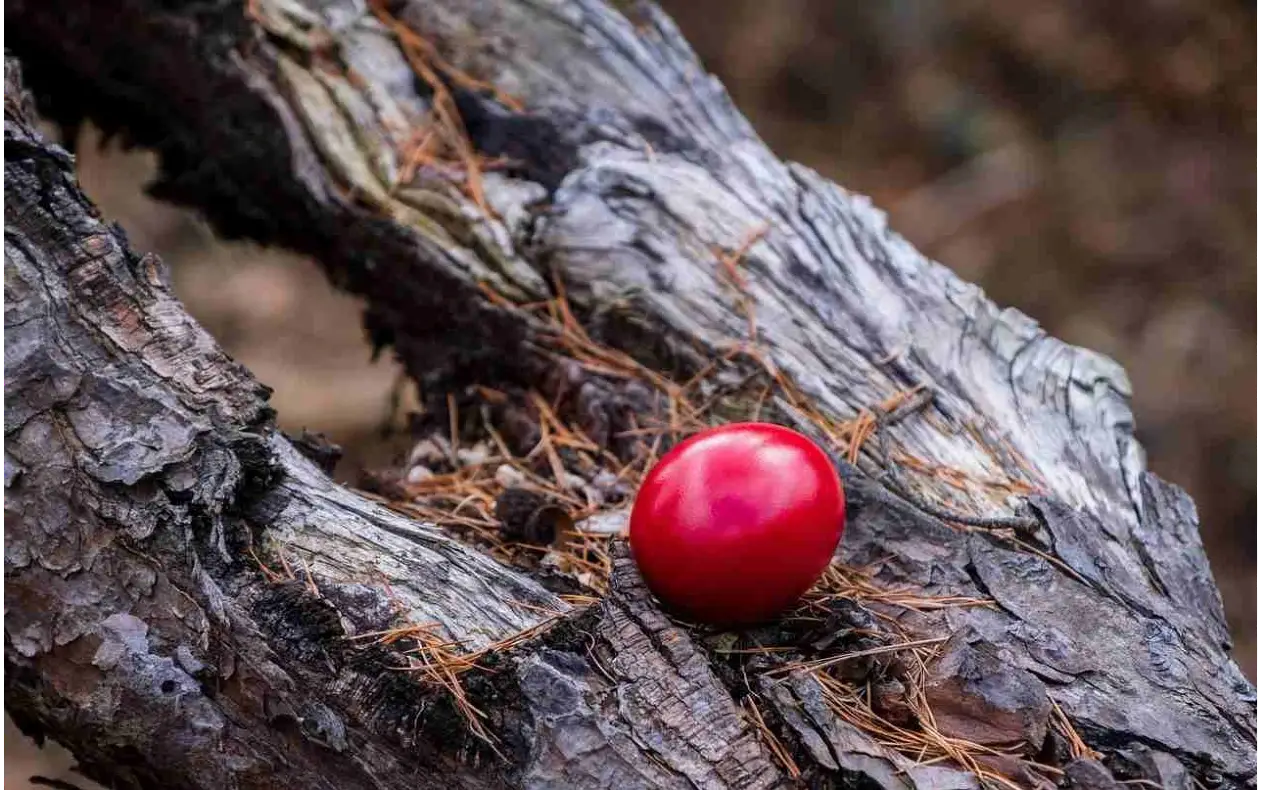 Čuvarkuća za Vaskrs