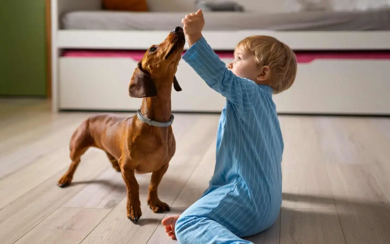 Beba se naljutila na psa