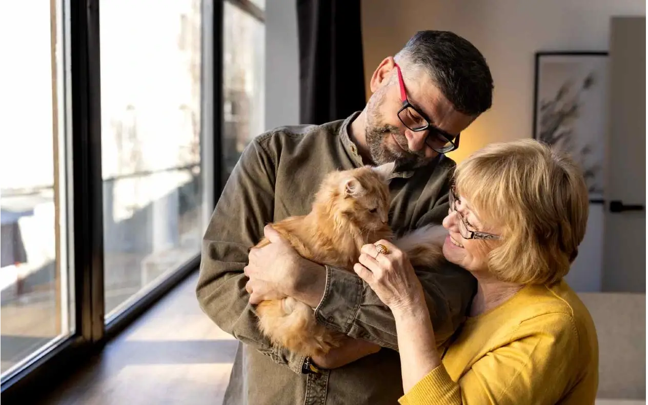 Mačka se vratila kući Mačka se posle šest meseci vratila kući