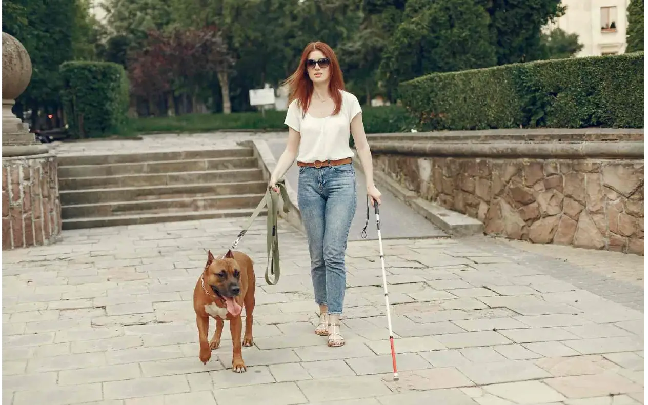 Slepa žena Pretvarala se godinama da je slepa