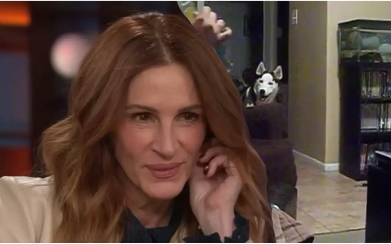 Paničan napad Julia Roberts Pas ima paničan napad od Julie Roberts