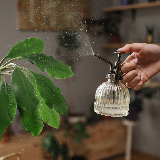 Догляд за рослинами також важливий в процесі прибирання,адже на вазонах та квітах зберігається багато пилу