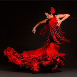 Фламенко – музичний і танцювальний стиль, який Іспанія вважає своїм національним надбанням. 
Це одна з візитних карток країни. 
Навіть ті, хто не знають назви танцю, побачивши Байлаора – виконавців фламенко , моментально асоціюють його з Іспанією
Вивчайте іспанську та дізнавайтесь більше:)