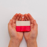 З кожним роком польська мова користується все більшою популярністю серед українців,серед основних причин - зручне розташування Польщі ,хороша робота та високий рівень життя 