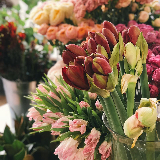 Для успішної роботи флорист повинен мати знання про різні види квітів, їх характеристики, догляд за ними,
а також вміти комбінувати їх для створення естетичних композиції