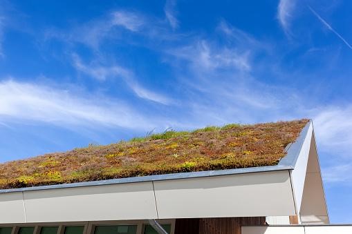 Green Roofing System- Its Benefits and Challenges