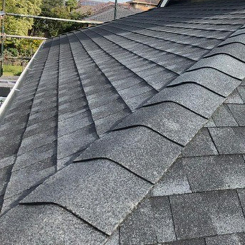 professional roof