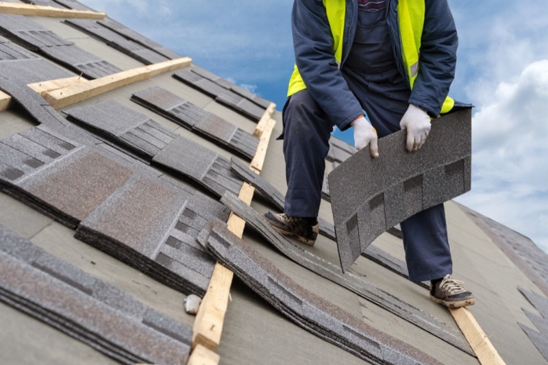 professional roofing systems