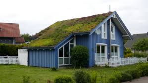 Green Roof Maintenance Guidelines