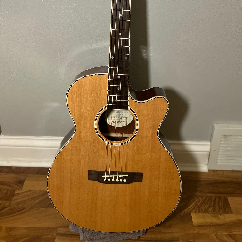 Epiphone PR-4E NA