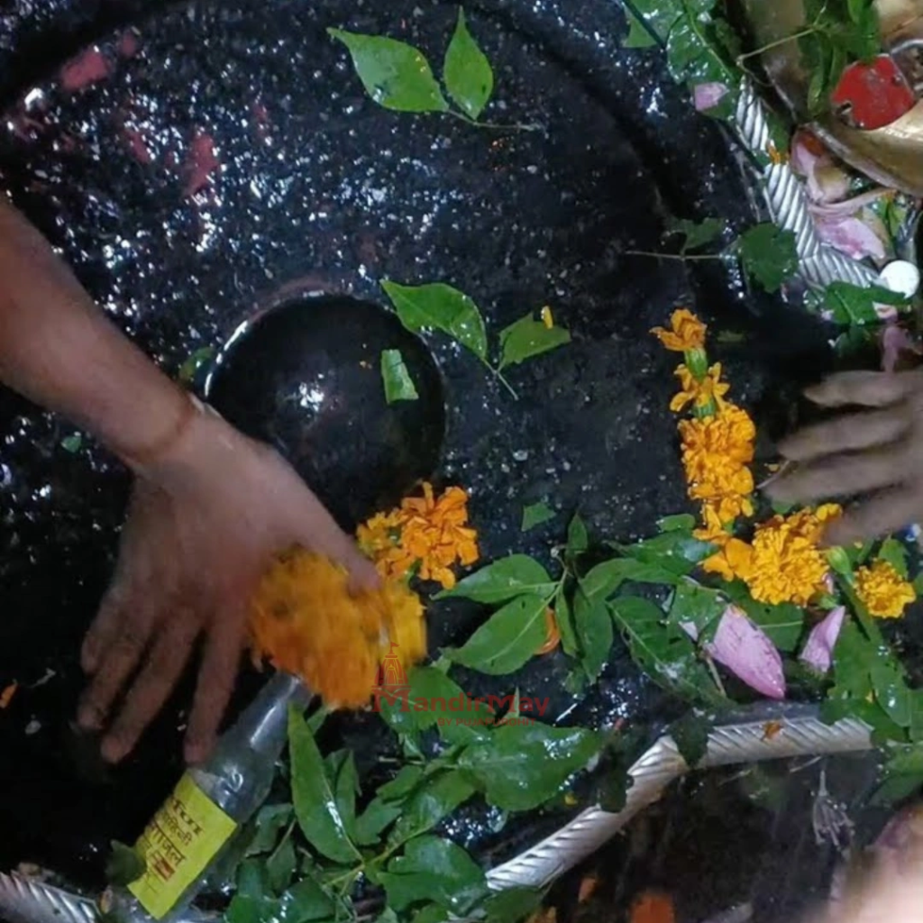 Baidyanath Dham photo 13