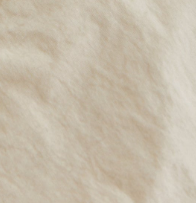 Kith Women Evans Cotton Nylon Utility Pant - Canvas