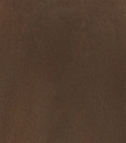 Kith Women Oversized Sonoma Sueded Long Sleeve - Shade