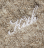 Kith Speckled Boucle Mia Beanie - Wren