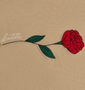 Kith Signature Rose Crewneck - Canvas