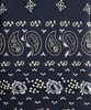 &Kin Paisley Floral Williams III Hoodie - Nocturnal