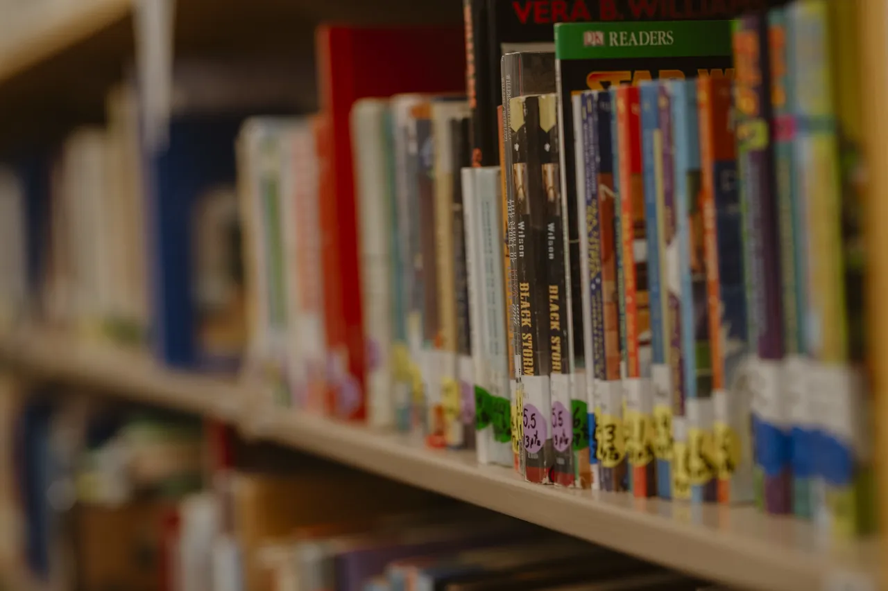 Literacy Month Book Bundle Giveaway