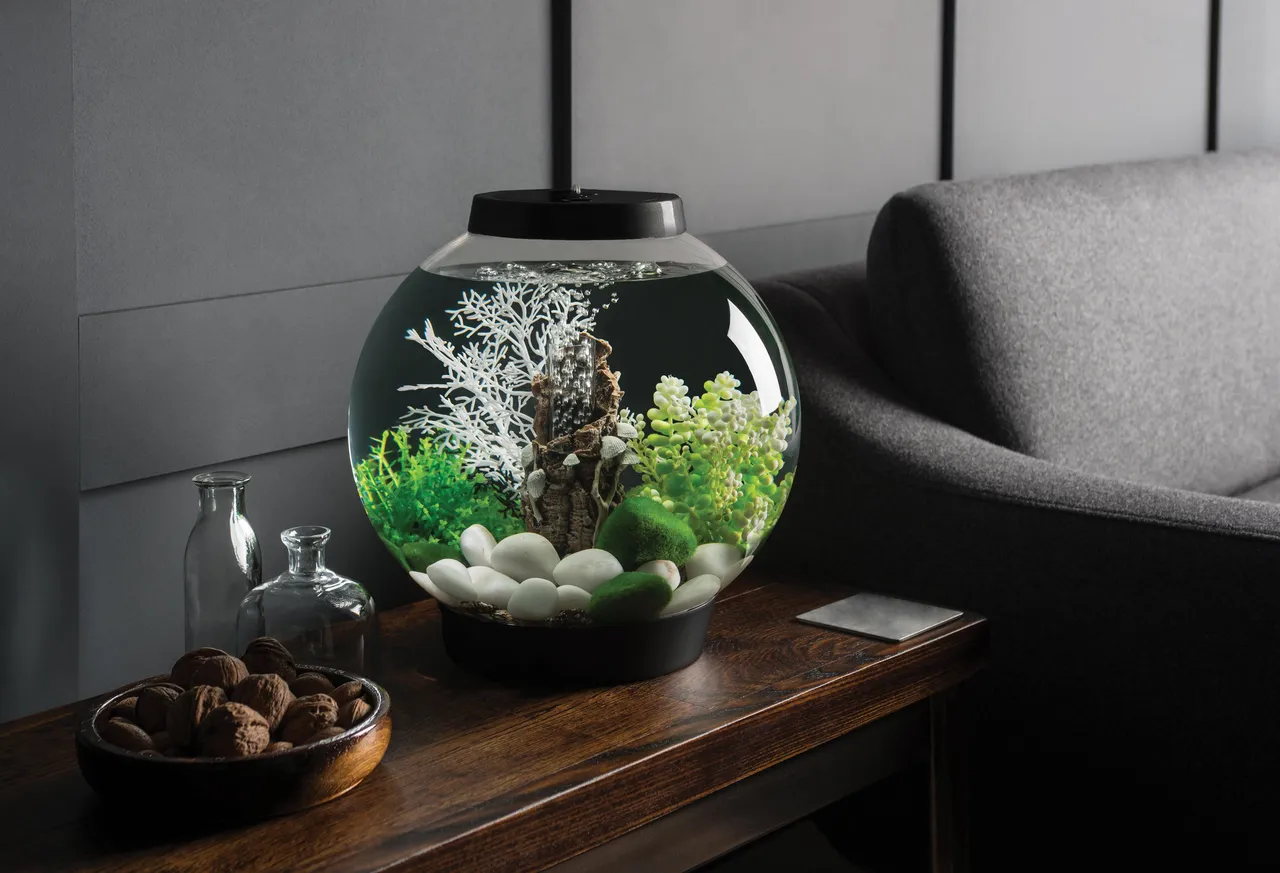 biOrb by Oase Aquarium Giveaway