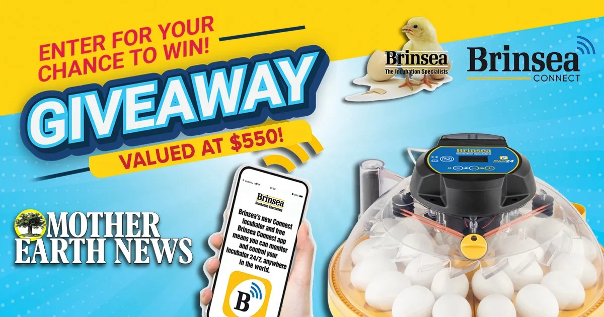 Mother Earth News Brinsea Maxi 24 Incubator Giveaway